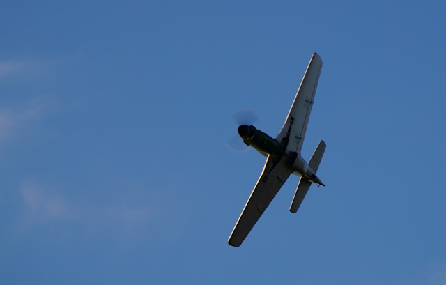 P-51D-Mustang-261.jpeg